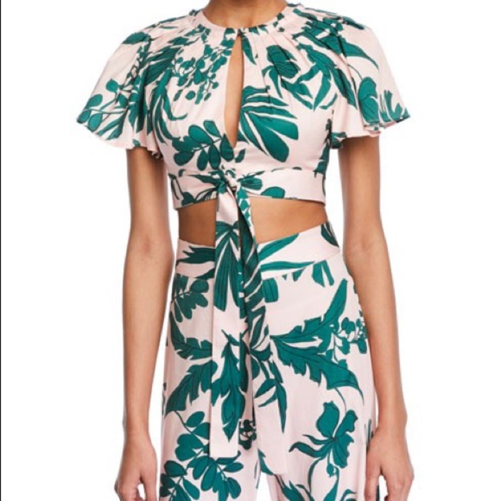 Alexis Tropical Wide-Leg Pants & Top Set